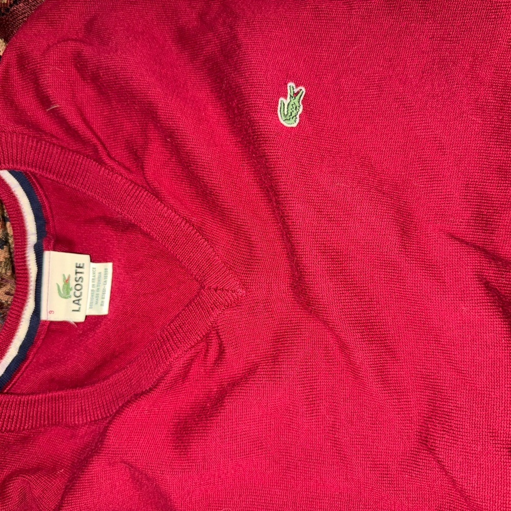Lacoste Men's V-Neck Sweater